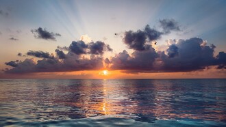 Alba bellissima, cielo rosso fuoco: ogni giorno la natura ricomincia a raccontare la sua storia