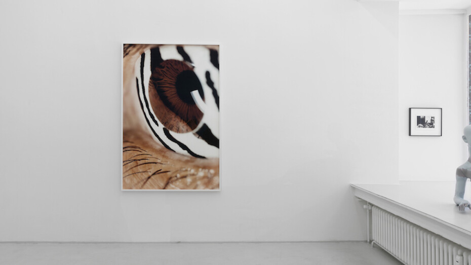 Re: Re: Black Macho. Courtesy of PPC Philipp Pflug Contemporary