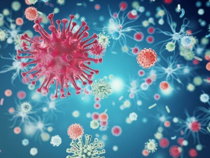 Le pandemie e le epidemie sono la conseguenza del nostro impatto sugli ecosistemi naturali
