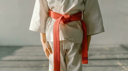Arti marziali. L'intrigo sul tatami: politica, lealtà e combattimento nel cinema