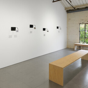 DJ Meisner, Second body state, exhibition view. Courtesy of Bass and Reiner Gallery