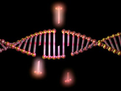 Eliminación de genes de una cadena de ADN
