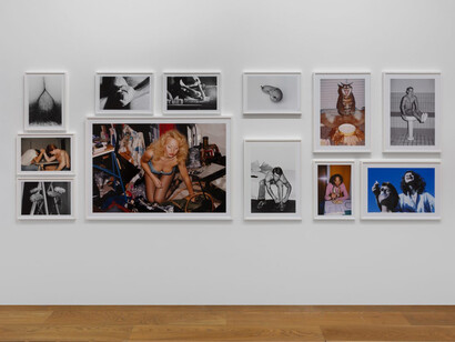 Walter Pfeiffer, In good company, vista della mostra. Cortesia di Pinacoteca Agnelli