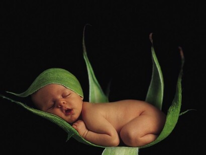 Bebé durmiente, photo by Anne Geddes