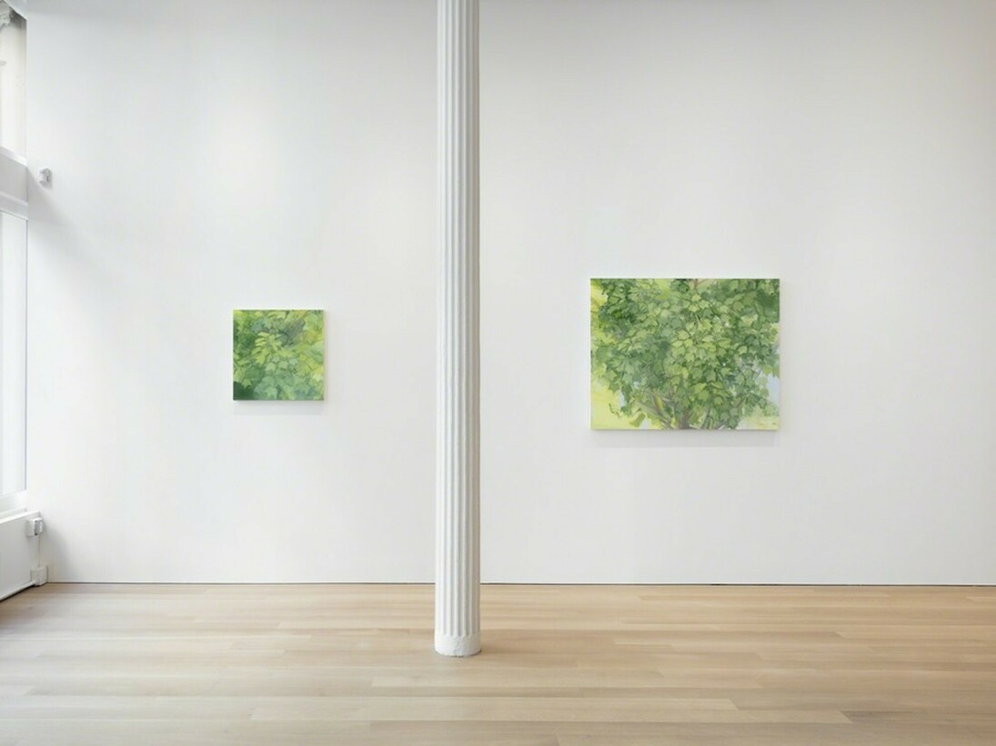 Sylvia Plimack Mangold, Exhibition view. Courtesy of Alexander and Bonin
