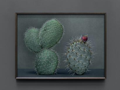 Mario Testino, Cactus (I), 2020. Courtesy of Hamiltons Gallery 