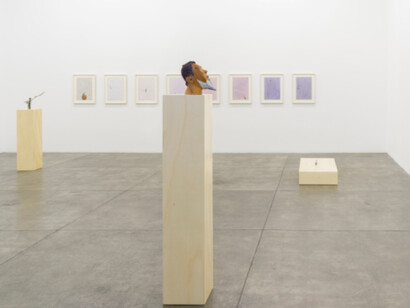 Instances of Seeing, Exhibition view. Courtesy of Fortes D’Aloia & Gabriel
