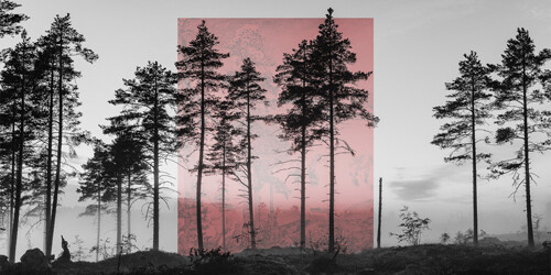 Visions of Nature. Courtesy of Kunst Haus Wien
