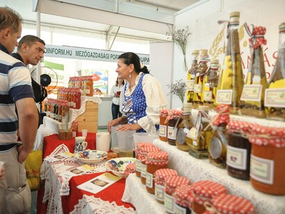 Farmer-Expo fair view