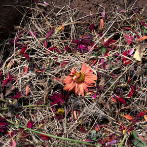 Dan Lie, Lasciare andare, vista della mostra. Per gentile concessione della Pinacoteca