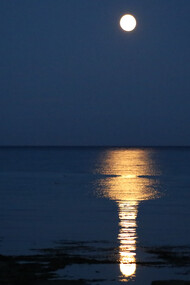 The full moon reflecting on the waters of the sea/ocean