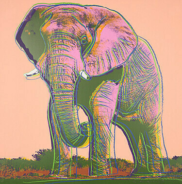 Andy Warhol, 
African Elephant,
aus dem Portfolio "Endangered Species" von 10, Farbsiebdrucken,
Farbsiebdruck 1983,
96,5 x 96,5 cm