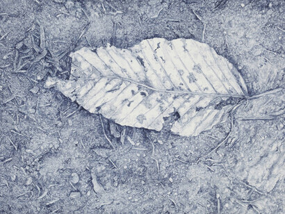 Zhao Xuebing, Dry Season #5, 2014, oil on board, 14.5 x 21.5 x 5 cm, (c) Zhao Xuebing, Courtesy of Tomio Koyama Gallery