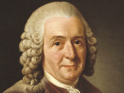Carl von Linné (1707-1778)