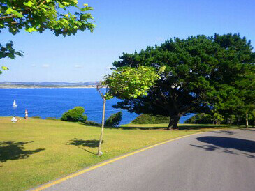 No faltaron paseos por la Península de la Magdalena, recorridos que, aunque breves, abrían un espacio infinito para respirar.
Península de la Magdalena, Santander, España