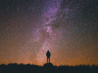 Geometry and arithmetic are deeply rooted in human culture, but it's difficult to assert their roles in biology