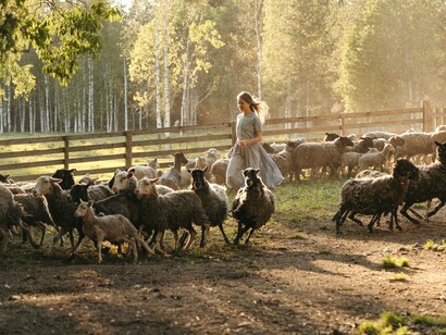 O cordeiro simboliza o livramento