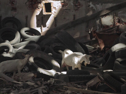 Landscape Zero, documentario