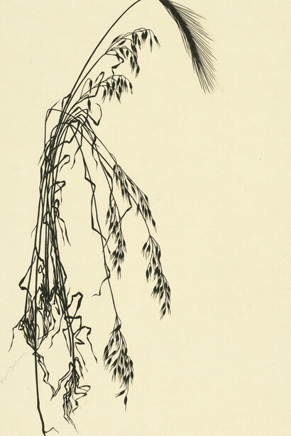 Johanna Beckmann, Roggen und Hafer, scherenschnitt, 1923. Courtesy of Kulturforum