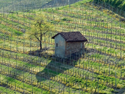 Tenuta Giovanni Almondo