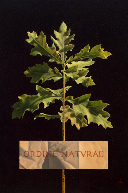 David Ligare, Ordine naturae (the order of nature), 2015. Courtesy of Hirschl and Adler Gallery