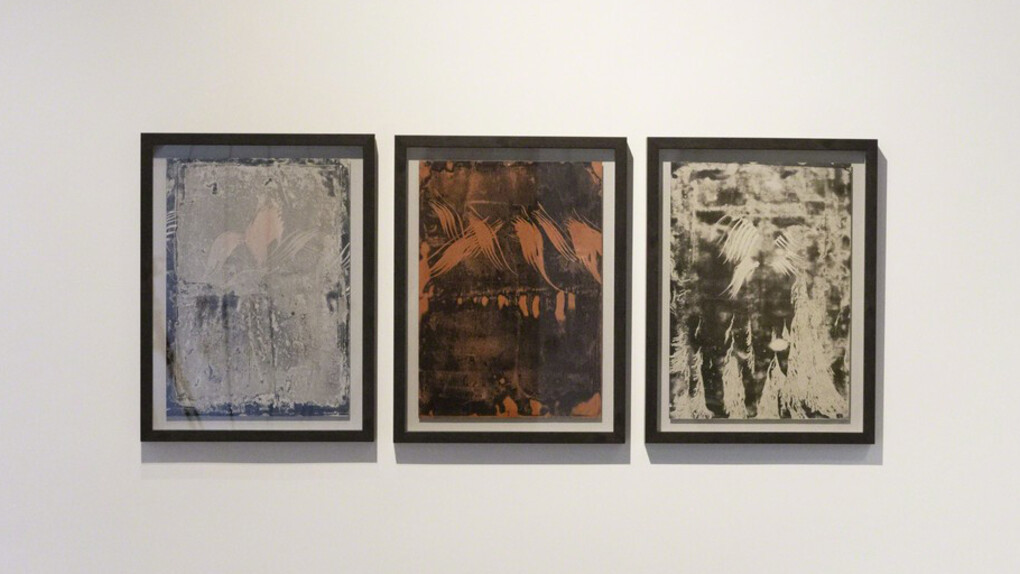 Nature Paintings. Courtesy of Puerta Roja