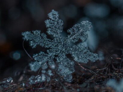 Close-up de floco de neve