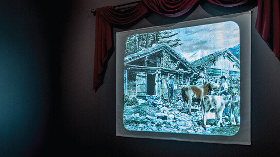 The Rockies and The Alps. Courtesy of Newark Museum