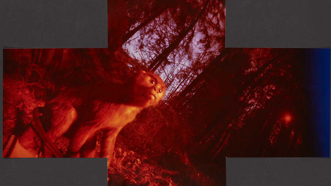 Seppo Renvall, Sarjasta Se on täytetty, 1994. Courtesy of The Finnish Museum of Photography