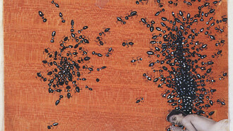 «Hormigas» (1929), Salvador Dalí