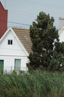 El triunfo del autor radica en haber dispuesto en nuestras manos esta obra.  Una verdadera lección de vida.  El autor insiste en resaltar el valor, coraje y propósito del inmigrante real. Barracas del Pechinar, Valencia. España