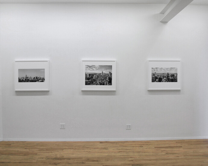 Dialectical Landscape, Exhibition view. Courtesy of Galerie Richard