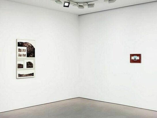 Installation views: Llyn Foulkes. Andrea Rosen Gallery 2, New York October 12 - November 16, 2013. Photograph taken by Lance Brewer, courtesy of Andrea Rosen Gallery  