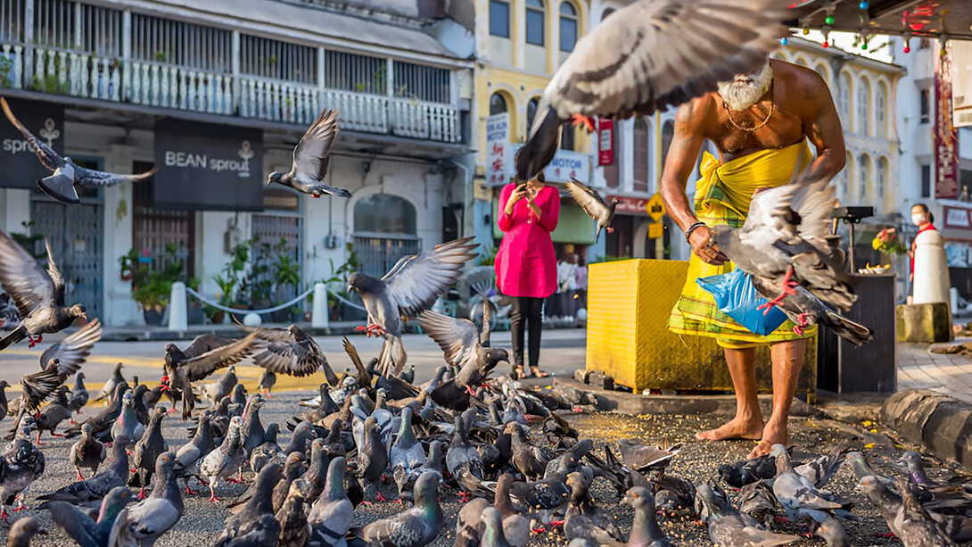 A man is feeding birds in George Town, Penang, Malaysia, amidst the city's lively atmosphere
