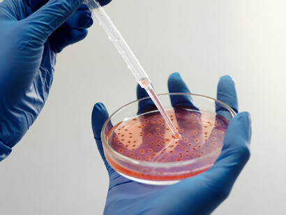 Successful experimentation requires delicate and careful treatment of the study subjects