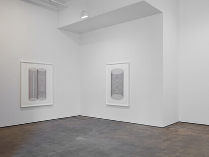 Iran do Espírito Santo, Exhibition view. Courtesy of Sean Kelly