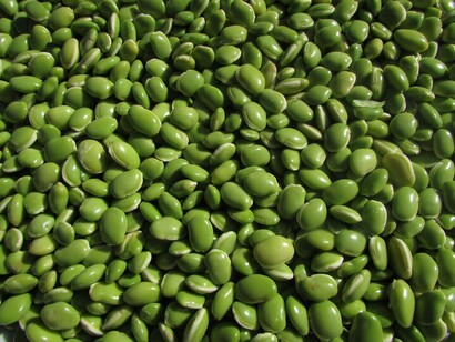 Uma dieta equilibrada com muitos alimentos frescos é fundamental para prevenir o envelhecimento