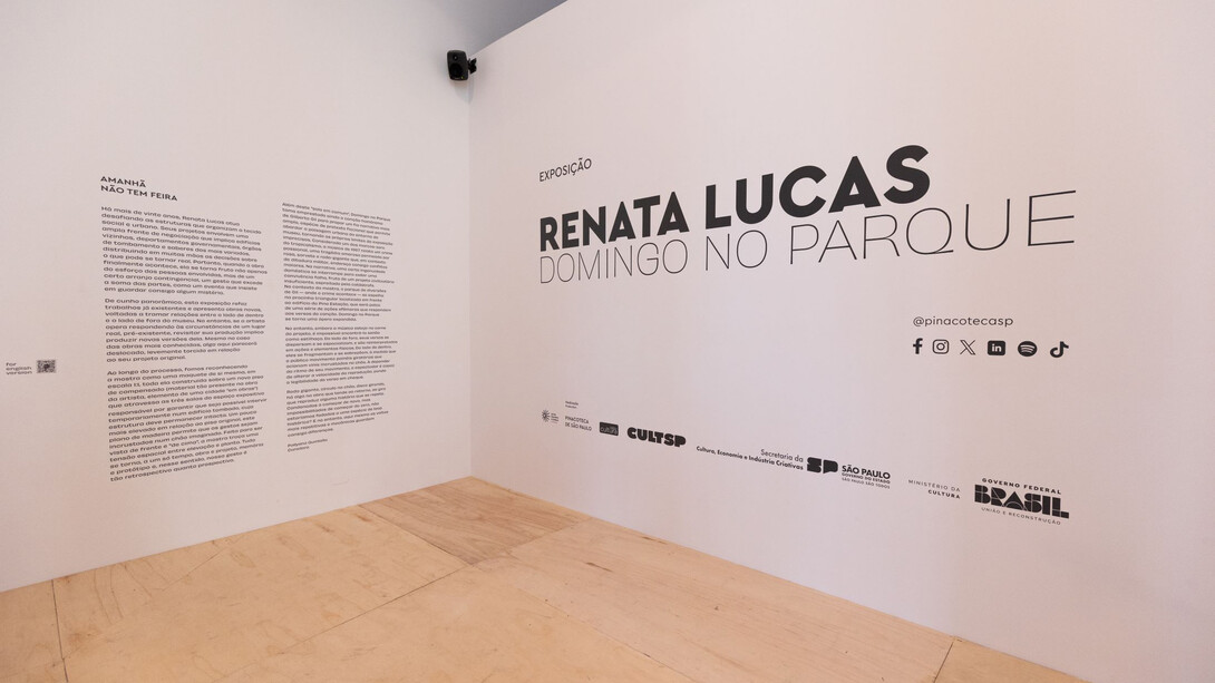 Renata Lucas, Domingo no parque, vista da exposição. Cortesia da Pinacoteca