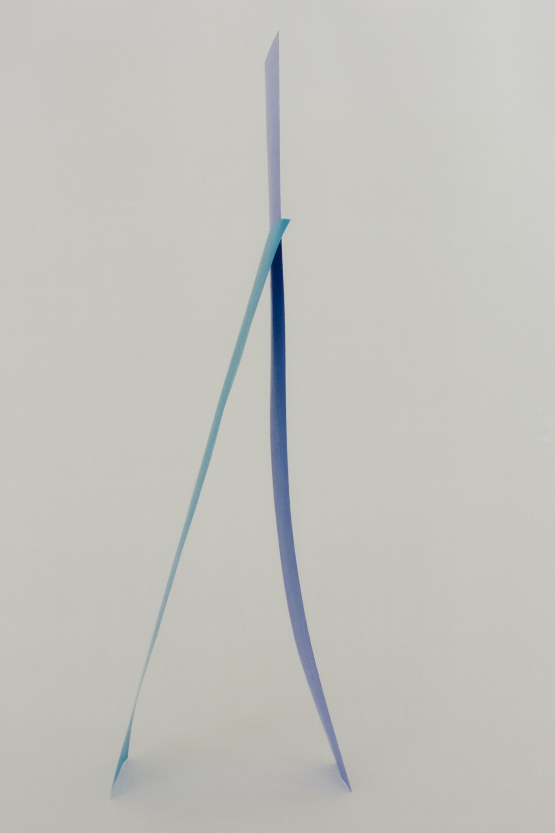 Viola Yeşiltaç, Untitled (I really must congratulate you on your attention to detail), 2012. 14. 24 x 28 inches c-print