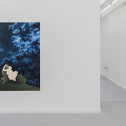 Rodolphe Janssen Gallery