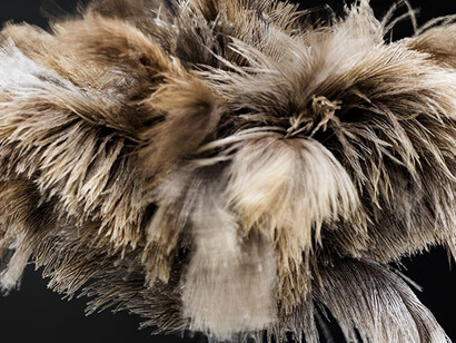 William Forsythe, Towards the Diagnostic Gaze, (Paris) (detail), 2017, Readymade feather duster, engraved stone shelf from stone locally sourced for exhibition, 2 × 31 1/2 × 17 11/16 inches (5 × 80 × 45 cm) © William Forsythe