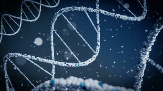 Lo studio riporta il processo che è partito da una proteina che non ha alcuna funzione pratica a una in grado di legare il DNA