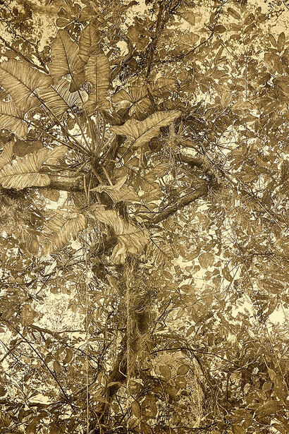 Ulf Saupe, Golden forest #4 V2, 2020. Courtesy of Space Gallery