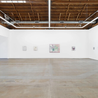 Van Hanos, Psychic death, exhibition view. Courtesy of Chateau Shatto