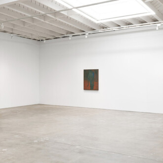 Shota Nakamura, Apple, exhibition view. Courtesy of Karma Gallery