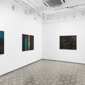 Soumya Sankar Bose, We need to talk in whispers, exhibition view. Courtesy of Experimenter