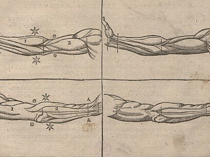 L’ouvrage Livre de pourtraiture, signé par Maistre Jean Cousin en 1595
