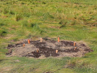 Flux and flow: the great Marsh, messages from the Marsh, part 9. Courtesy of Kingston Gallery