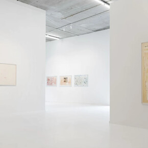 Natasja Mabesoone, It girls, exhibition view. Courtesy of Gallery Sofie Van de Velde