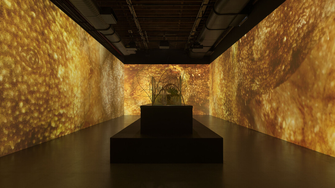 Tuomas A. Laitinen, Siphon, exhibition view. Courtesy of Pioneer Works